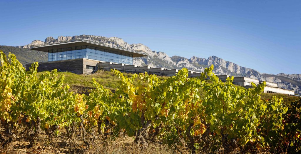 Baigorri viticultura y gestión sostenibles