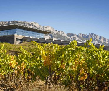 Baigorri viticultura y gestión sostenibles