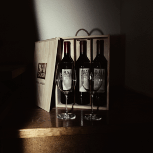 Pack De Garage + Copas